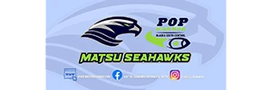 Matsu Seahawks 300x100